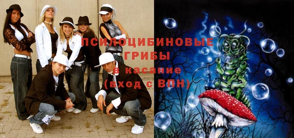 ГАЛЛЮЦИНОГЕННЫЕ ГРИБЫ Абдулино
