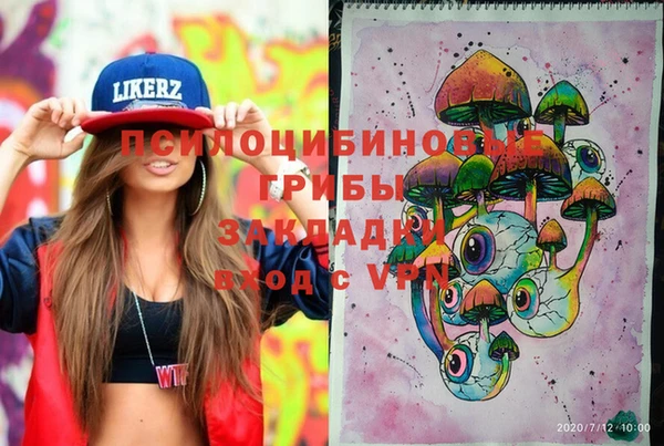 ГАЛЛЮЦИНОГЕННЫЕ ГРИБЫ Абдулино