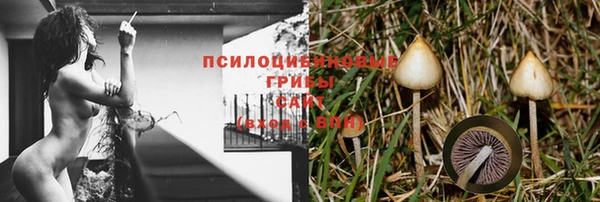 ГАЛЛЮЦИНОГЕННЫЕ ГРИБЫ Абдулино