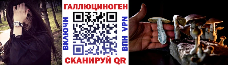 Псилоцибиновые грибы MAGIC MUSHROOMS  mega как войти  Новоалександровск 