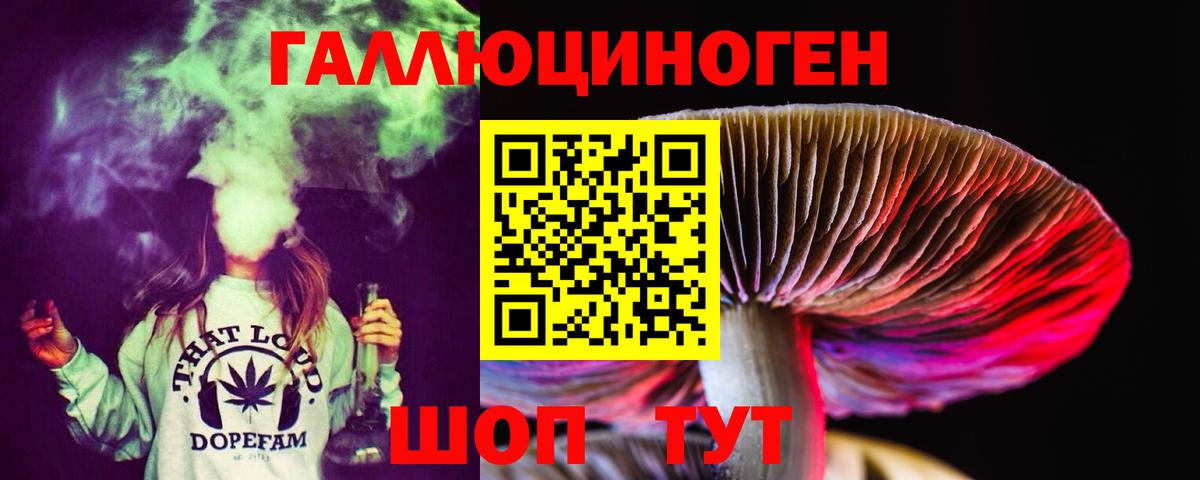 Галлюциногенные грибы прущие грибы Новоалександровск