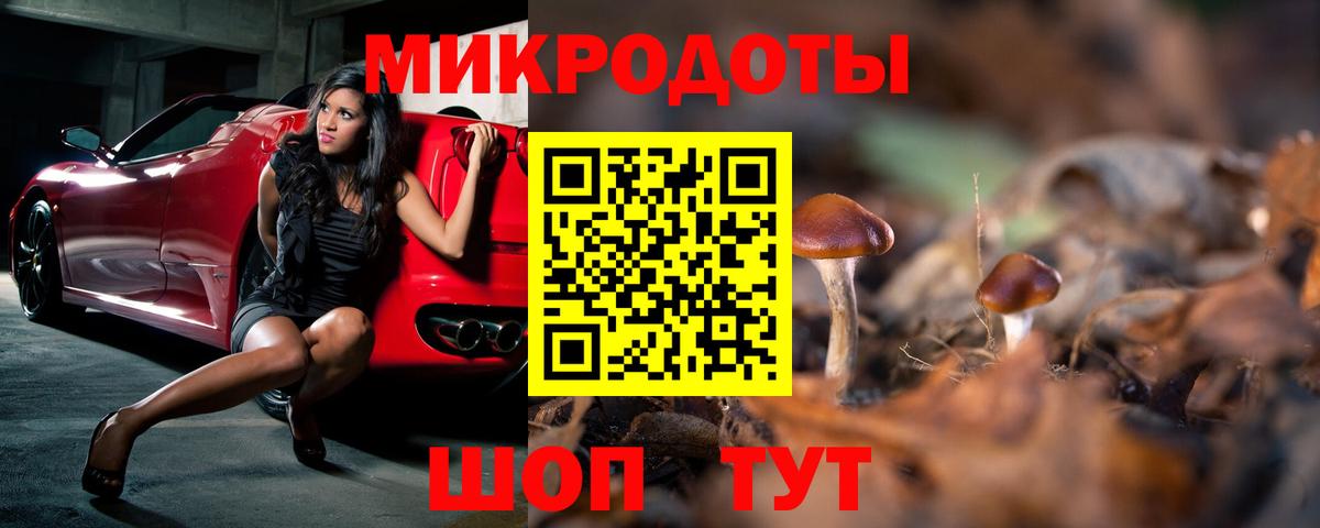 Псилоцибиновые грибы Psilocybine cubensis  Псилоцибиновые грибы GOLDEN TEACHER  Вход с VPN  Новоалександровск 